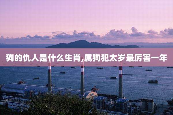 狗的仇人是什么生肖,属狗犯太岁最厉害一年