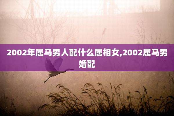 2002年属马男人配什么属相女,2002属马男婚配