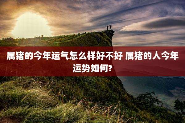 属猪的今年运气怎么样好不好 属猪的人今年运势如何?