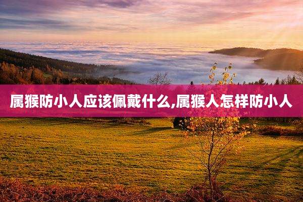 属猴防小人应该佩戴什么,属猴人怎样防小人