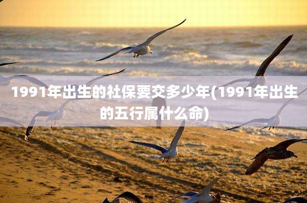 1991年出生的社保要交多少年(1991年出生的五行属什么命)