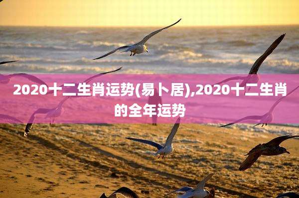 2020十二生肖运势(易卜居),2020十二生肖的全年运势