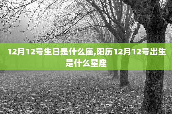 12月12号生日是什么座,阳历12月12号出生是什么星座