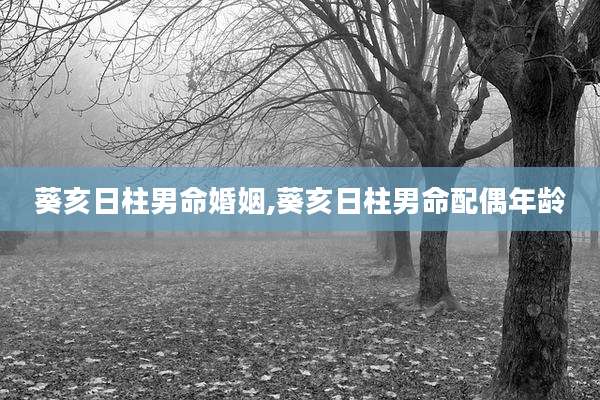 葵亥日柱男命婚姻,葵亥日柱男命配偶年龄