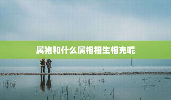 属猪和什么属相相生相克呢