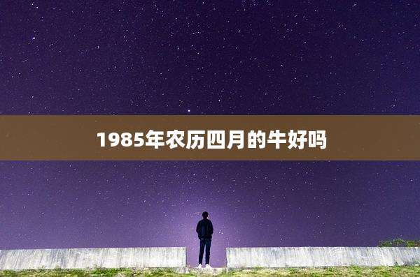 1985年农历四月的牛好吗