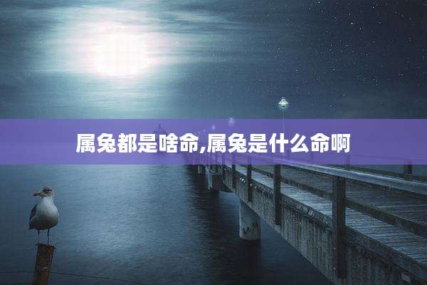 属兔都是啥命,属兔是什么命啊