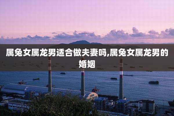 属兔女属龙男适合做夫妻吗,属兔女属龙男的婚姻