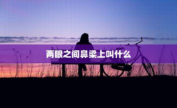 两眼之间鼻梁上叫什么