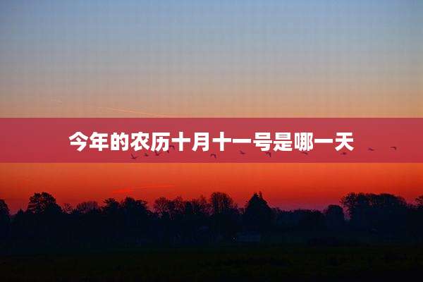 今年的农历十月十一号是哪一天