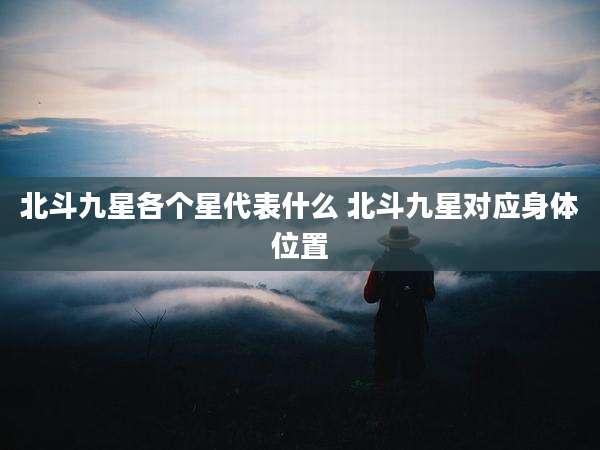 北斗九星各个星代表什么 北斗九星对应身***置