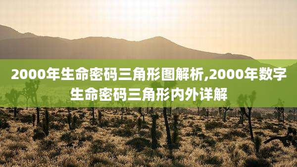 2000年生命密码三角形图解析,2000年数字生命密码三角形内外详解