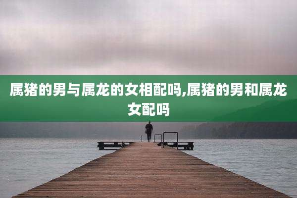属猪的男与属龙的女相配吗,属猪的男和属龙女配吗