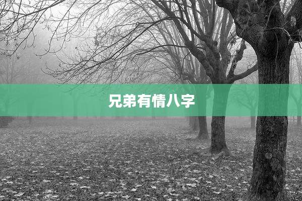 兄弟有情八字