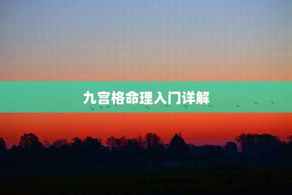 九宫格命理入门详解