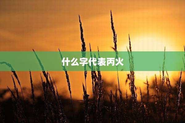 什么字代表丙火