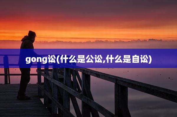 gong讼(什么是公讼,什么是自讼)