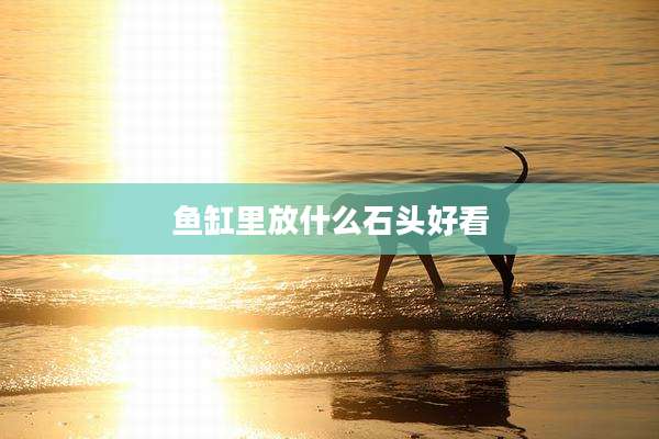鱼缸里放什么石头好看