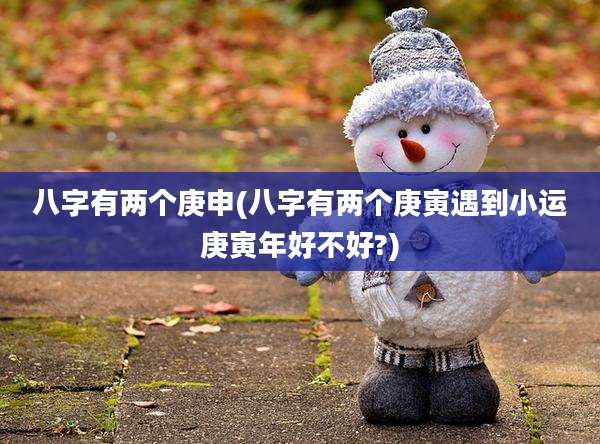 八字有两个庚申(八字有两个庚寅遇到小运庚寅年好不好?)