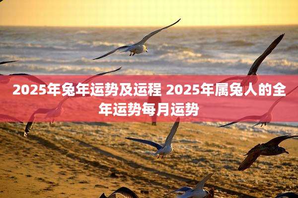 2025年兔年运势及运程 2025年属兔人的全年运势每月运势
