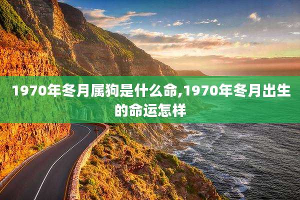 1970年冬月属狗是什么命,1970年冬月出生的命运怎样