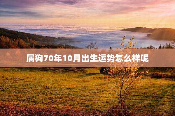 属狗70年10月出生运势怎么样呢