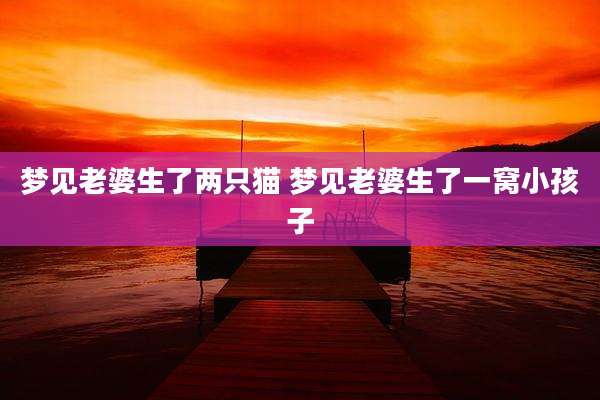 梦见老婆生了两只猫 梦见老婆生了一窝小孩子