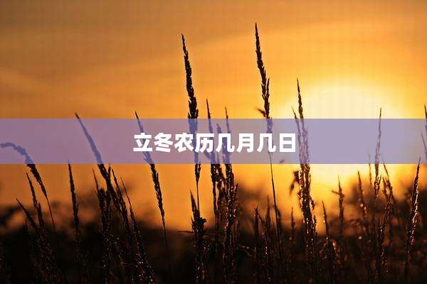 立冬农历几月几日