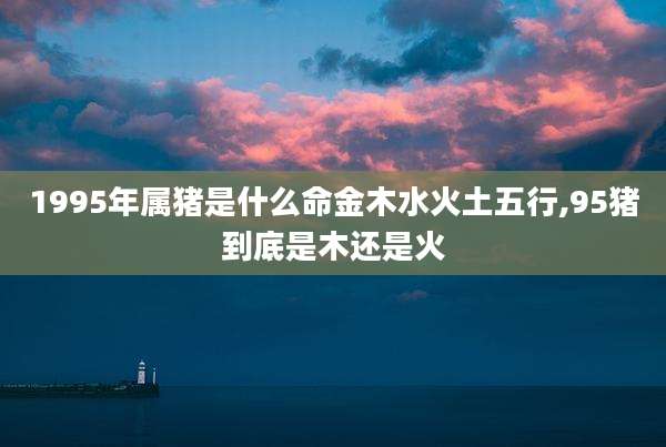 1995年属猪是什么命金木水火土五行,95猪到底是木还是火