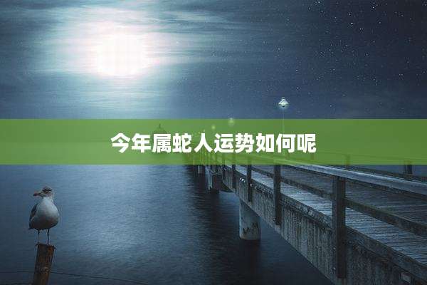 今年属蛇人运势如何呢