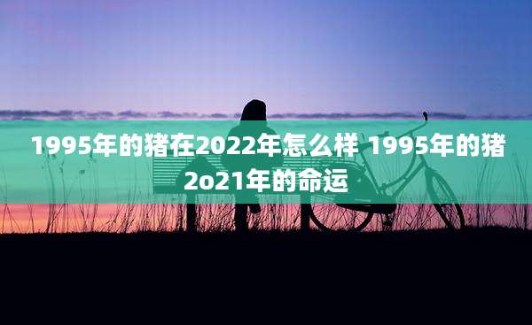 1995年的猪在2022年怎么样 1995年的猪2o21年的命运