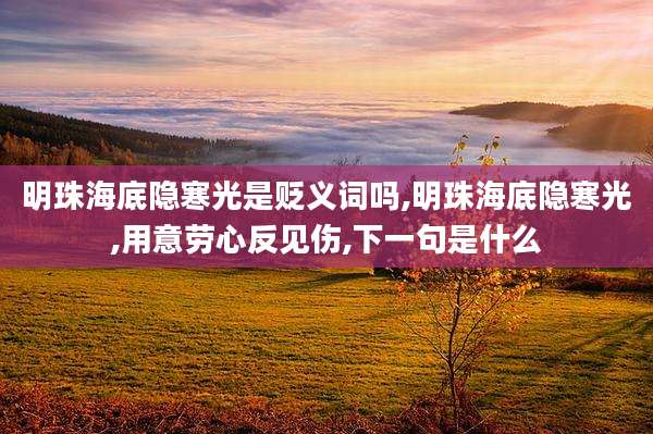 明珠海底隐寒光是贬义词吗,明珠海底隐寒光,用意劳心反见伤,下一句是什么