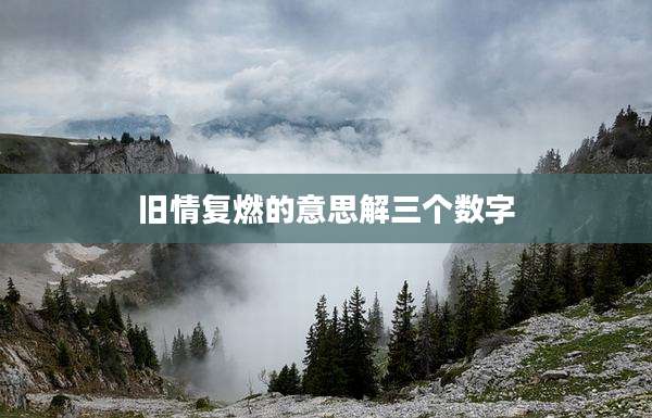 旧情复燃的意思解三个数字