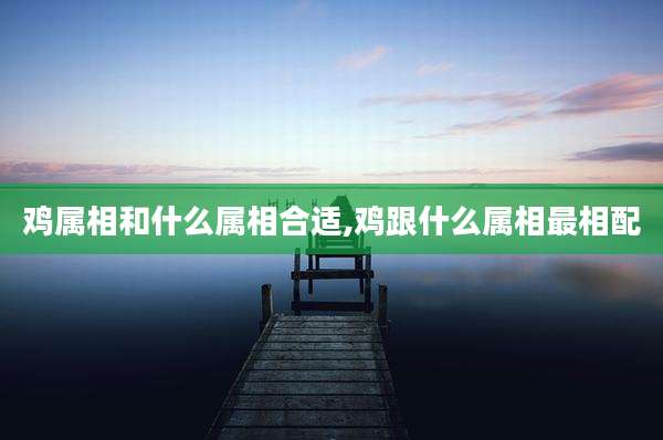 鸡属相和什么属相合适,鸡跟什么属相最相配