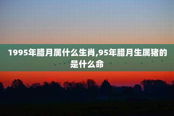 1995年腊月属什么生肖,95年腊月生属猪的是什么命
