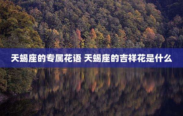 天蝎座的专属花语 天蝎座的吉祥花是什么