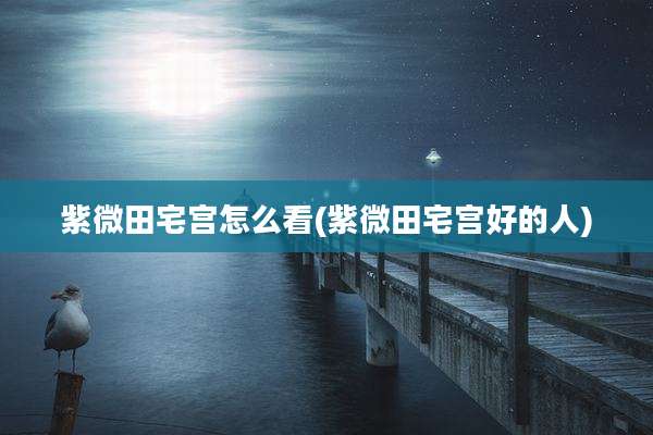 紫微田宅宫怎么看(紫微田宅宫好的人)