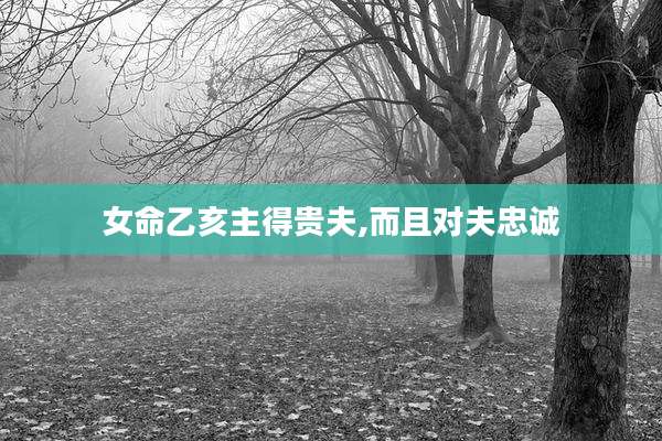 女命乙亥主得贵夫,而且对夫忠诚
