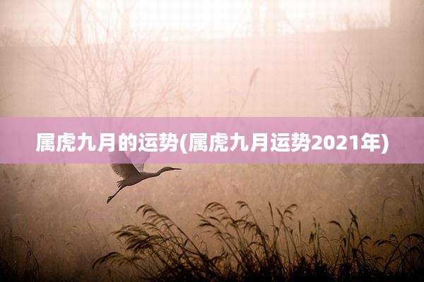 属虎九月的运势(属虎九月运势2021年)