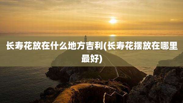 长寿花放在什么地方吉利(长寿花摆放在哪里最好)