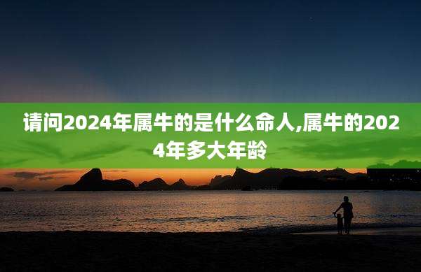 请问2024年属牛的是什么命人,属牛的2024年多大年龄
