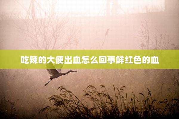 吃辣的大便出血怎么回事鲜红色的血