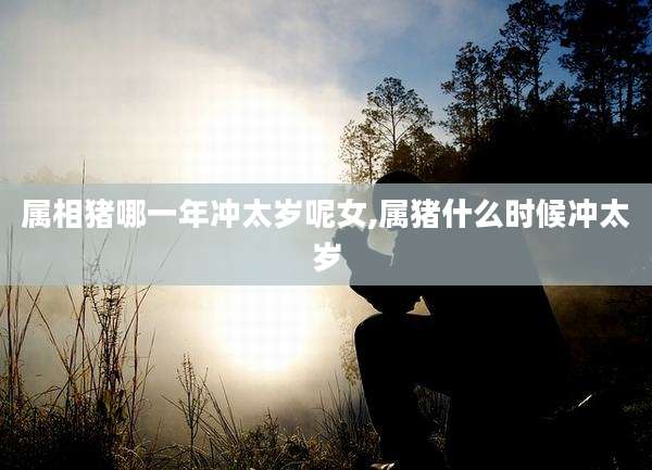 属相猪哪一年冲太岁呢女,属猪什么时候冲太岁