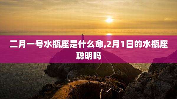 二月一号水瓶座是什么命,2月1日的水瓶座聪明吗