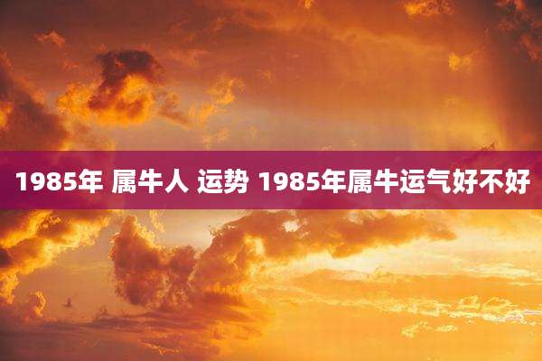 1985年 属牛人 运势 1985年属牛运气好不好