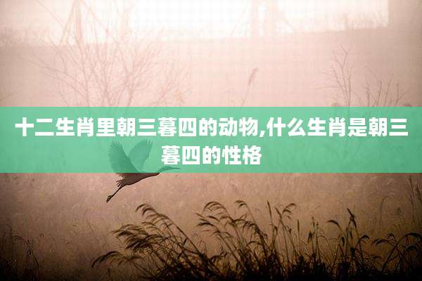 十二生肖里朝三暮四的动物,什么生肖是朝三暮四的性格