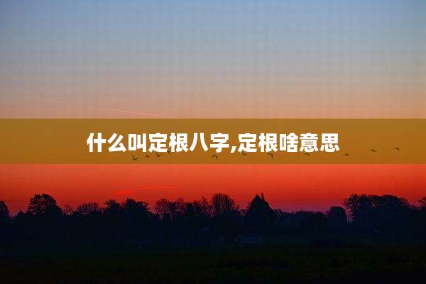 什么叫定根八字,定根啥意思