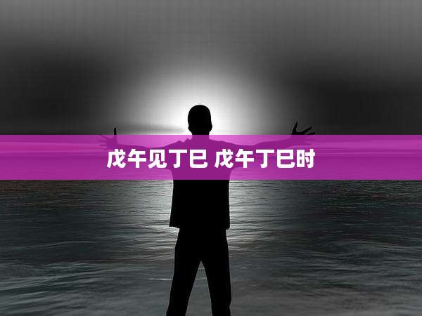 戊午见丁巳 戊午丁巳时