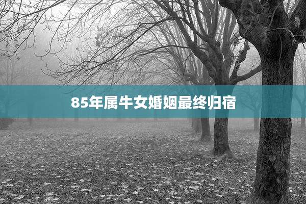 85年属牛女婚姻最终归宿