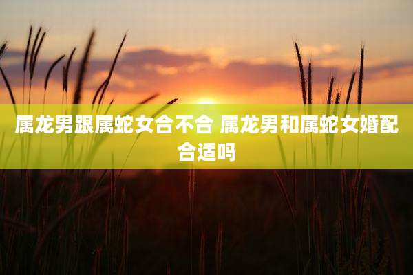 属龙男跟属蛇女合不合 属龙男和属蛇女婚配合适吗